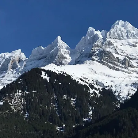 Appartement Hestia *